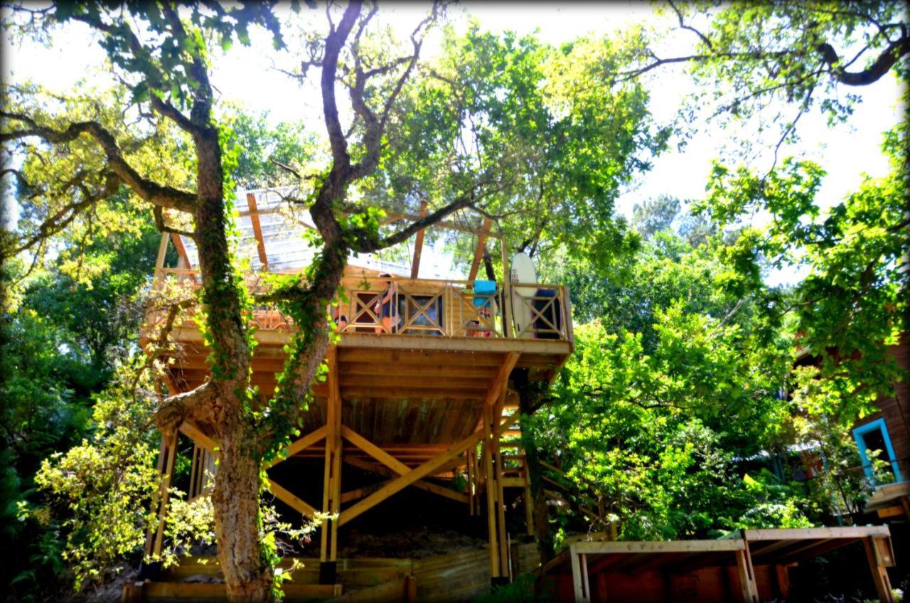 Village Nature Et Ocean A Cote De La Plage Avec Piscine Et Jacuzzi เมสซองจ์ ภายนอก รูปภาพ